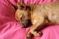 /album/ceux-que-jaime/img-6243-jpg/