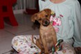 /album/ceux-que-jaime/img-6144-jpg1/